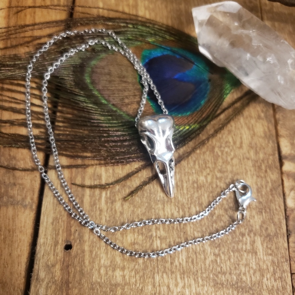Pagan Raven Skull Necklace & Earrings Jewelry Set Horror Witchy Viking Jewelry - Picture 9 of 16
